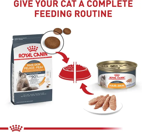 Vista 12 de Royal Canin Cuidado del cabello y la piel Alimento seco para gatos, bolsa de 7 libras