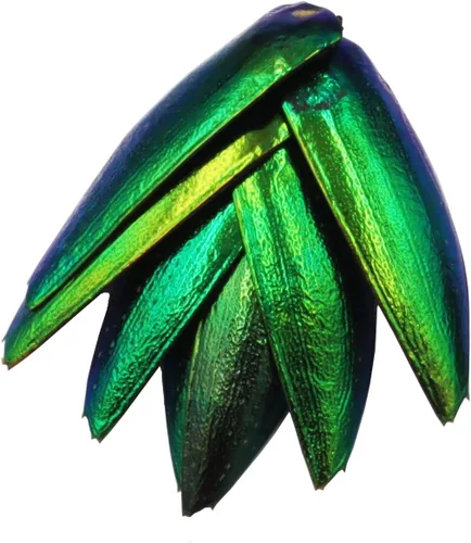Vista 3 de 50 alas de escarabajo verde iridiscente sin perforar para hacer joyas, aretes de bricolaje y accesorios (50)