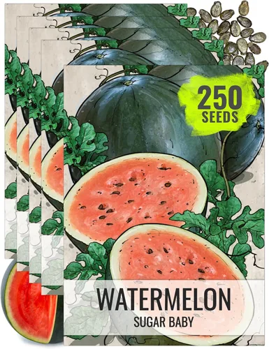 Vista 12 de Seed Needs Semilla de sandía dulce carmesí para plantar reliquia sin OMG 1 paquete