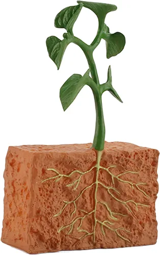Vista 8 de 4 unids ciclo de vida plantas verdes juguete educativo PVC ciclo de crecimiento planta falsa juguete para niños herramienta de enseñanza