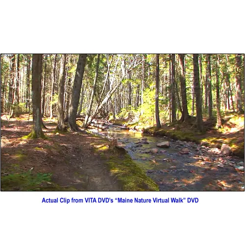 Vista 3 de Maine Nature Walk Treadmill Scenery DVD