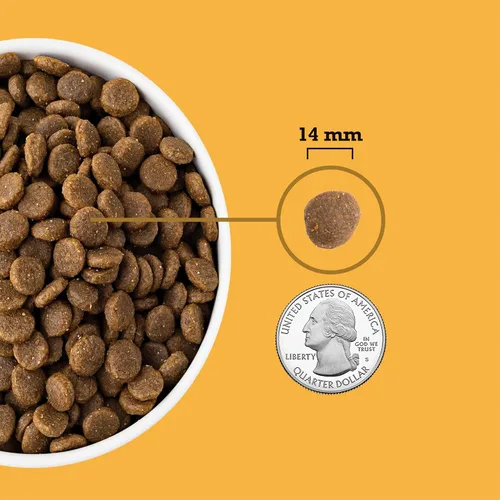 Vista 5 de ACANA Alimento Seco para Perros Sin Granos Receta de Aves de Corral Criadas en Libertad Bolsa de 4.5 libras Grain Free, High Protein, Made in the
