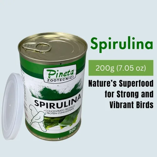 Vista 3 de PINETA Spirulina en polvo orgánico 7.05 oz – Suplemento de espirulina para aves canarias y granívoras – 100% natural, suplemento de apoyo
