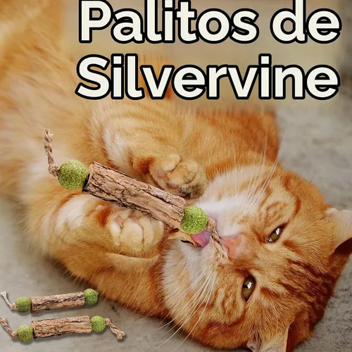 Vista 5 de Silvervine Sticks - Juguetes de hierba gatera para gatos, paquete de 3, juguete interactivo para gatos de interior para limpieza de dientes