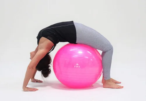 Vista 8 de FIM ISU 25.6 in Fitness Stability Ball • Yoga Balance Ball • Ejercicio Entrenamiento Bola INCLUYE Bomba de Pie