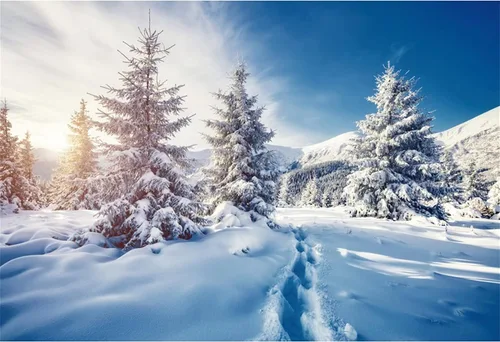 Vista 10 de Renaiss Fondo de fotografía de paisaje forestal de invierno de 7 x 5 pies, paisaje natural, copos de nieve, pinos, fondo para niños y adultos, 23D94