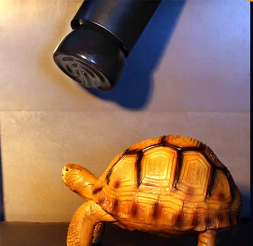 Vista 6 de Mini bombilla de calor para reptiles de 50 W, base E26, emisor de calor de cerámica infrarroja no emisora de luz para terrarios, tortugas, lagartos