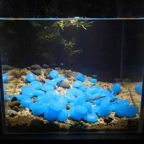 Vista 4 de Oubest Piedras que brillan en la oscuridad que brillan en la oscuridad, piedras decorativas azules a granel para jardín, pecera, acuario, pasarela