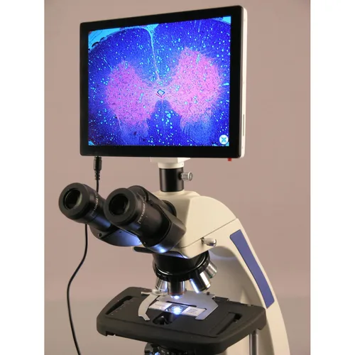 Vista 2 de AmScope - Microscopio compuesto de laboratorio infinito 40X-1000X con pantalla táctil LCD - T720Q-TP
