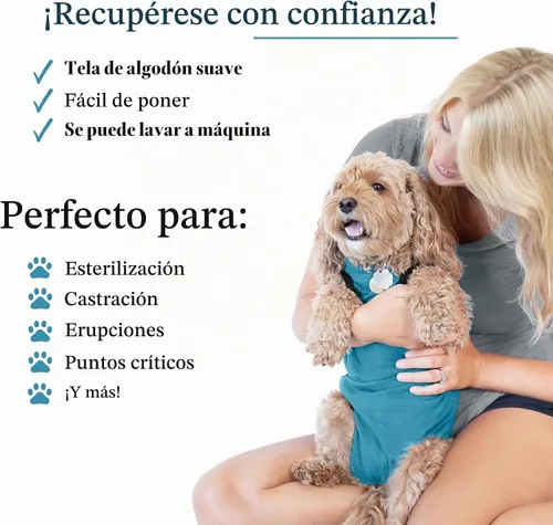 Vista 3 de BellyGuard Traje de recuperación de cirugía para perros, mameluco para perros para cuidado posoperatorio, ropa de recuperación para hembras