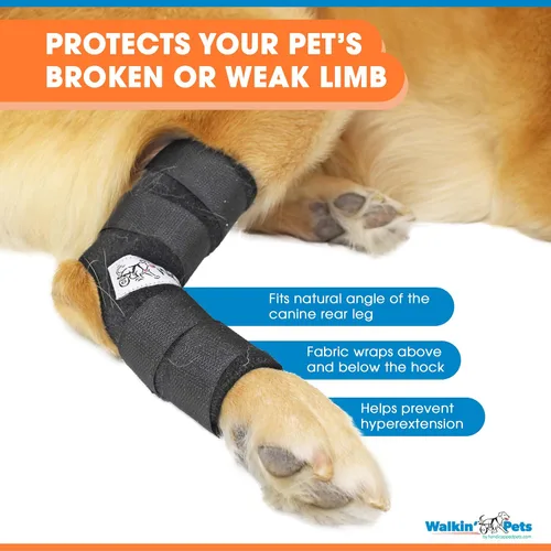 Vista 5 de Walkin' Hock Hugger - Soporte para perro para patas traseras Soporte extendido para articulaciones de cornejo para la pierna trasera de los perros