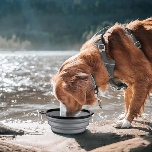 Vista 2 de COOYOO Cuenco plegable para perros, paquete de 2 cuencos plegables para agua para perros y gatos, plato portátil para alimentación de mascotas