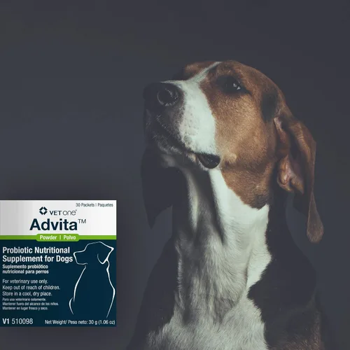 Vista 4 de Vet One Polvo probiótico Advita™ para perros, un suplemento nutricional diario para mantener el sistema inmunológico, el apetito y la digestión