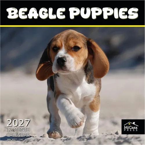 Vista 42 de MICASA PRESS Calendario de pared de Australian Shepherds Aussies 2027 02 - Pastores australianos