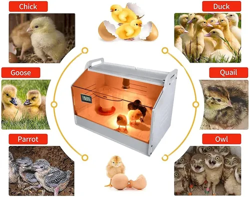 Vista 4 de Caja caliente inteligente para criadores, 10-30 pollitos y animales pequeños, incubadora manual, calentador de gallinero, jaula de criador