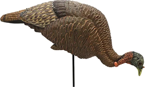 Vista 3 de MOJO Outdoors Turkey Hunting Decoys and Accessories