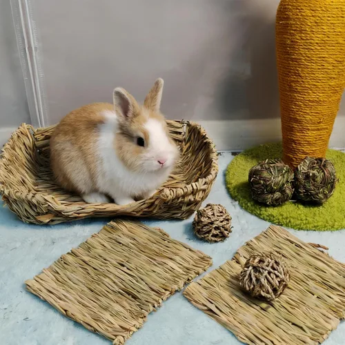 Vista 4 de Hamiledyi Cama de hierba de conejo, alfombrilla de heno natural hecha a mano, bolas masticables para conejo, chinchilla, conejillo de indias, hurón