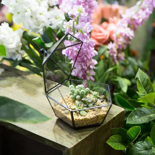 Vista 6 de NCYP Terrario geométrico de vidrio pequeño, contenedor cerrado en caja de joyas, maceta para suculentas, decoración de jardín para interiores