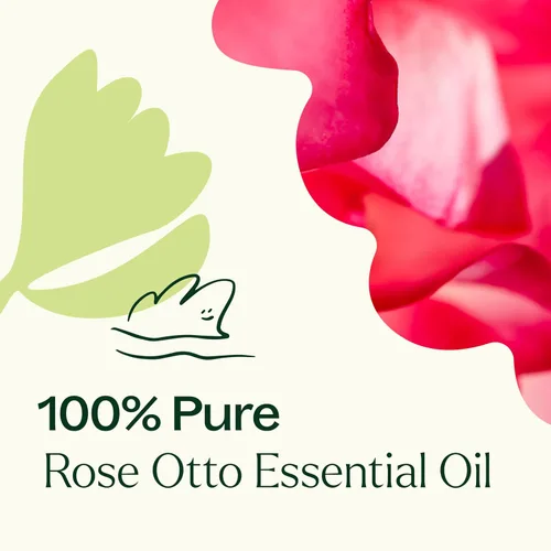 Vista 5 de Plant Therapy Aceite esencial Rose Otto 5 mL (1/6 oz) 100% puro, sin diluir, aromaterapia, cuidado de la piel, relajante y romántico aroma
