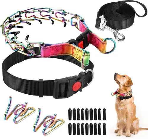 Vista 12 de Collar de entrenamiento de puntas con puntas cómodas y hebilla de cierre rápido – Collar de pellizco para perro con cubierta de nailon