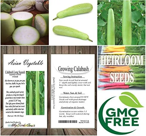 Vista 7 de Paquete grande - Semillas sin transgénicos de MySeeds.Co