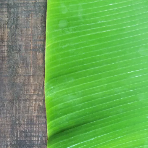 Vista 4 de Rani Fresh Banana (Kela) Hojas de aproximadamente 16 oz (454 g) 1 libra ~ Todo natural Vegano Apto para gluten Sin OMG Producto de Estados