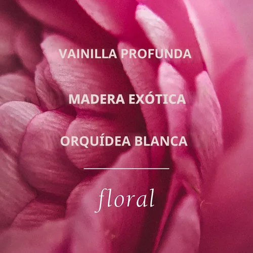 Vista 4 de TOKYOMILK Crema para manos, 2.3 onzas – Romantic & Ethereal, manteca de karité y manteca de cacao, humectante de manos, crema de manos perfumada