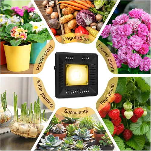 Vista 7 de Luz LED de crecimiento impermeable de 100 W de espectro completo, luz LED COB blanca de 3500 K, disipación de calor natural sin ruido, adecuada