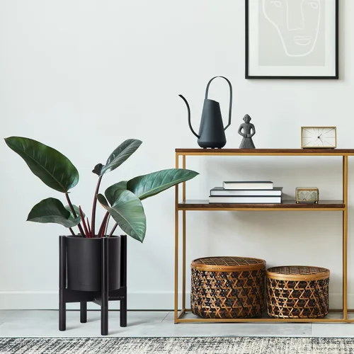 Vista 2 de Maceta de D'vine Dev con soporte - Maceta de flores de cilindro de plástico de 8.0 pulgadas con soporte de madera para interiores, maceta mate negra