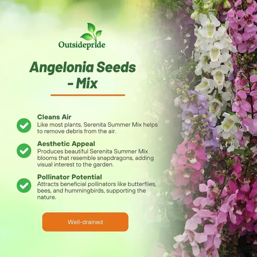 Vista 3 de Outsidepride Serenita Mix Angelonia - Semillas de dragón para plantar, 15 semillas de flores perennes, aptas para polinizadores, tolerantes al