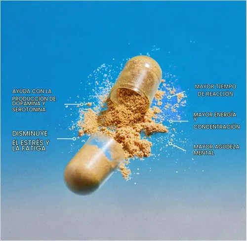 Vista 5 de THEROOTBRANDS Root Wellness Zero-in por Dr. Rahm - Combinación de cúrcuma, extracto de corteza de pino - 60 cápsulas
