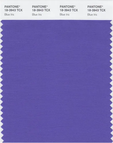 Vista 17 de PANTONE Smart 18-3945X - Tarjeta de muestra de color, color azul amparo