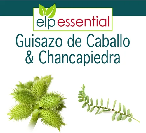 Vista 3 de ELP ESSENTIAL Guisazo de Caballo y Chancapiedra 500 mg 90 Cápsulas Promueve Riñones Saludables (Paquete de 2)