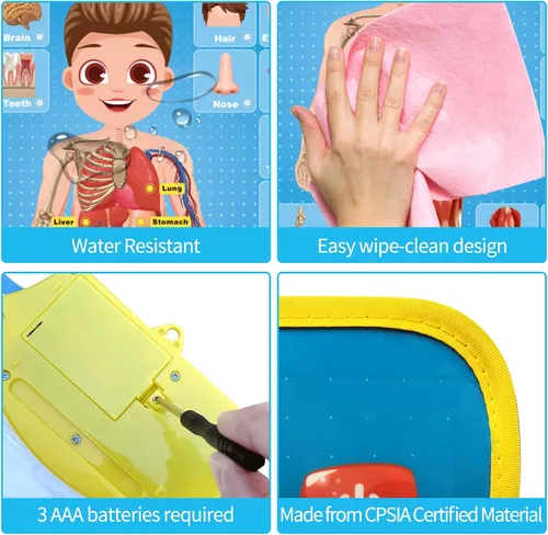 Vista 6 de My Body - Póster educativo interactivo para niños pequeños y niños para aprender partes del cuerpo, órganos, músculos y huesos, 16 x 22 pulgadas