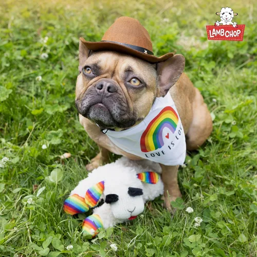 Vista 8 de Multipet Lamb Chop Juguete de Peluche para Perros - Juguete Chirriante para Todos los Perros - Peluche Extra Suave - Animal de Peluche