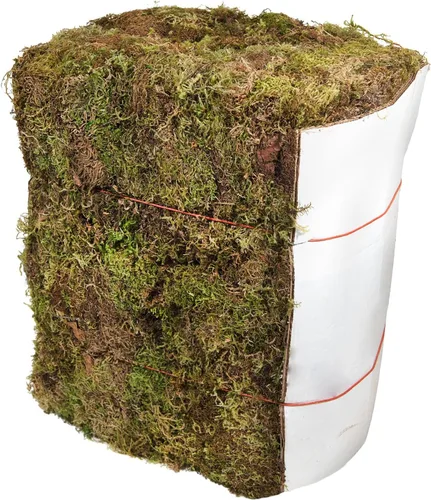 Vista 14 de SuperMoss (25320) Musgo de bosque preservado, fresco y verde, 2 oz