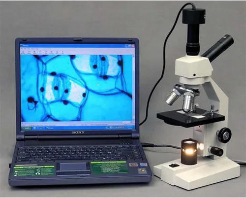 Vista 3 de AmScope Microscopio monocular compuesto de doble vista D120C-MS, objetivos WF10x y WF25x, aumento 40X-2500X, Brightfield, condensador Abbe de 1,25