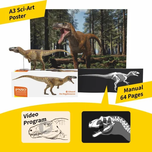 Vista 6 de 74 Megalosaurus Edward Teratosaurus Figura Modelo de dinosaurio animal prehistórico