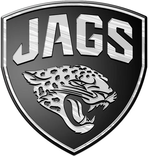 Vista 11 de NFL Emblema cromado para automóvil