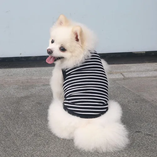 Vista 2 de Camisetas a rayas para perros y gatos, 102 % algodón, para perros y gatos pequeños, ropa sin mangas para cachorros para Chihuahua, verde Yorkie