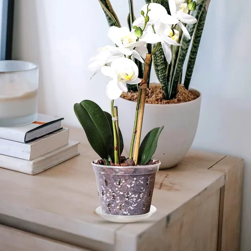 Vista 2 de DOITOOL Plantas de interior macetas de orquídeas, macetas de plástico para orquídeas con agujeros y platillos, macetas de orquídeas transparentes