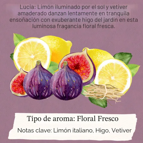Vista 8 de Tocca Perfume para mujer Mini Discovery Sampler Set de 8, 0.1 fl oz cada