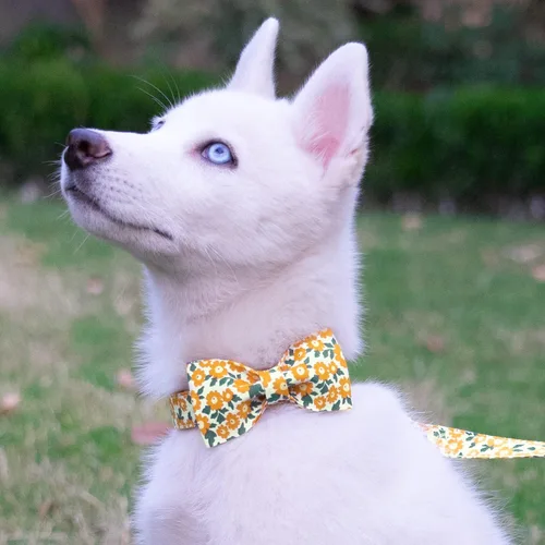 Vista 43 de Tunkoo Collar de otoño para perro con elegante pajarita, duradero, ajustable y elegante collar de otoño para mascotas, disponible en tamaño pequeño