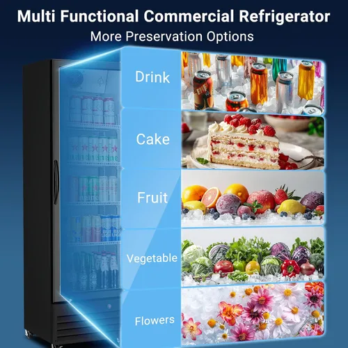 Vista 5 de BODEGA BODEGACOOLER - Refrigerador comercial de bebidas de 9 pies cúbicos con puerta de cristal, refrigeradores de bebidas para exhibición