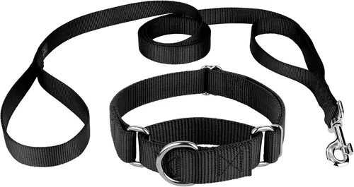 Vista 4 de Country Brook Design - Collar de perro de nailon Martingale y correa de doble asa-Negro-S