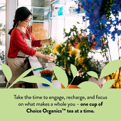 Vista 6 de Choice Organics - Té de salvia y menta, 16 bolsas de té Bolsas de té sin cafeína con menta refrescante y salvia terrosa, orgánico USDA, vegano