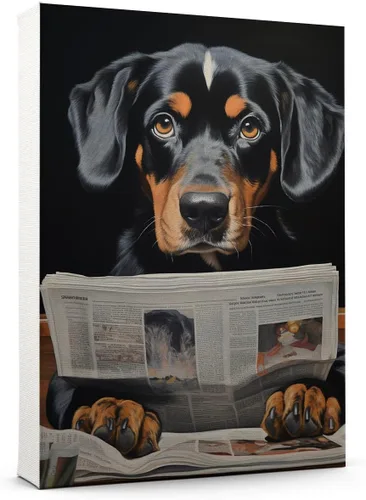 Vista 161 de Thuan Affenpinscher - Póster de lienzo con tus fotos, arte de pared para decoración del hogar, regalo conmemorativo para amantes de las mascotas