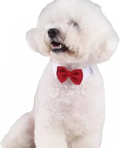 Vista 5 de Corbata de cuello ajustable formal para mascotas para perros y gatos, disfraces de aseo de boda (S, rojo)