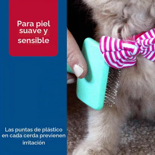 Vista 5 de Coastal Pet Li'l Pals - Cepillo deslizante para gatitos con puntas recubiertas