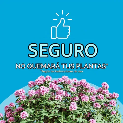 Vista 6 de Scotts Árbol de hoja perenne, árbol y arbusto en flor Alimento vegetal